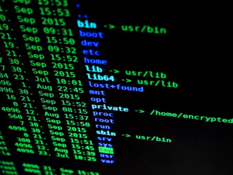 Bug Bounty Programs: Guia Completo para Iniciantes em Hacking Ético