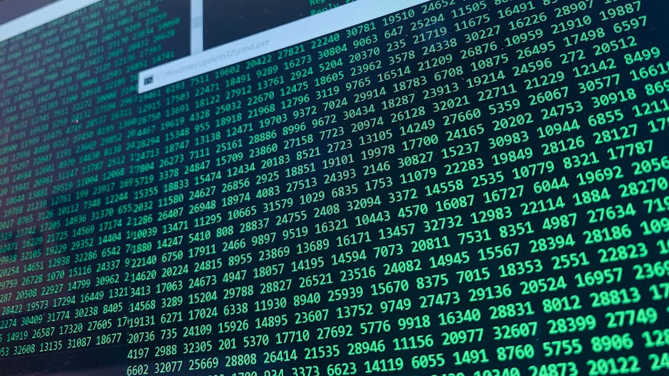 Seis zero-days do Windows sem coordenação com vendor