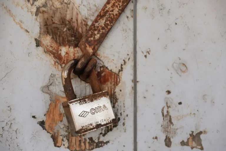 SharePoint: quatro CVEs ativas no KEV da CISA em 2026